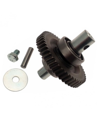 Шестерня редуктора FAST в сборе Came 119RID229 в Перми Запчасти для шлагбаумов и автоматики Pintop.ru
