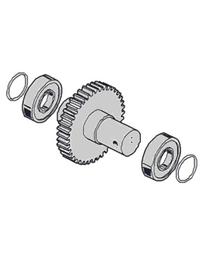 Моторедуктор G2081 G2081I Came 119RIG197 в Перми Запчасти для шлагбаумов и автоматики Pintop.ru