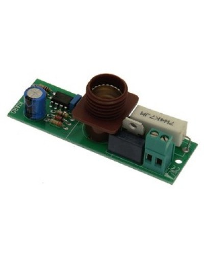 Плата лампы KIARO 24 Came 119RIR030 в Перми Запчасти для шлагбаумов и автоматики Pintop.ru