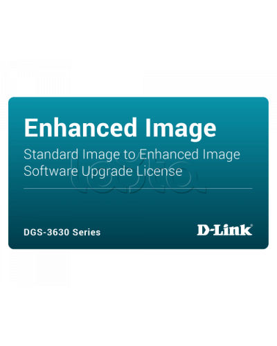ПО D-Link DGS-3630-28PC-SE-LIC в Перми Беспроводное оборудование Pintop.ru