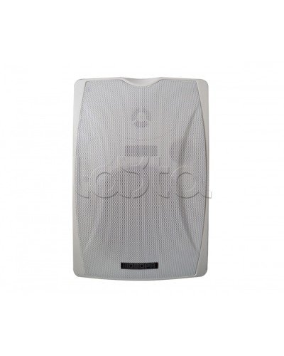 IP-громкоговоритель DSPPA POE-6463W в Перми Система оповещения и трансляции Dsppa Pintop.ru