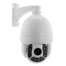 IP-камера видеонаблюдения купольная EverFocus ACE-ATE2033