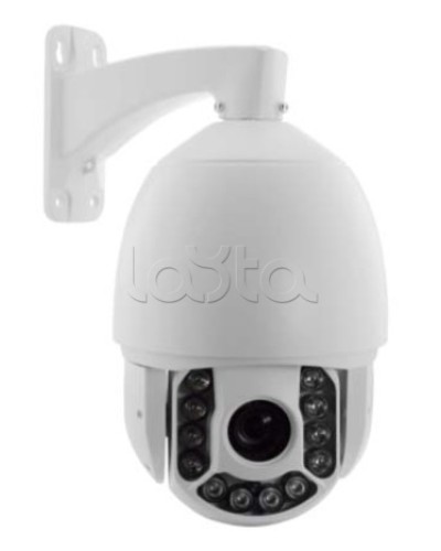 IP-камера видеонаблюдения купольная EverFocus ACE-ATE2033 в Перми IP-камеры Pintop.ru