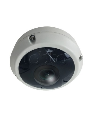 IP-камера видеонаблюдения купольная EverFocus ACE-KU89F в Перми IP-камеры Pintop.ru