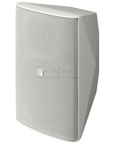 Громкоговоритель 2 полосный TOA F-2000 WT в Перми Системы оповещения и трансляции TOA Pintop.ru